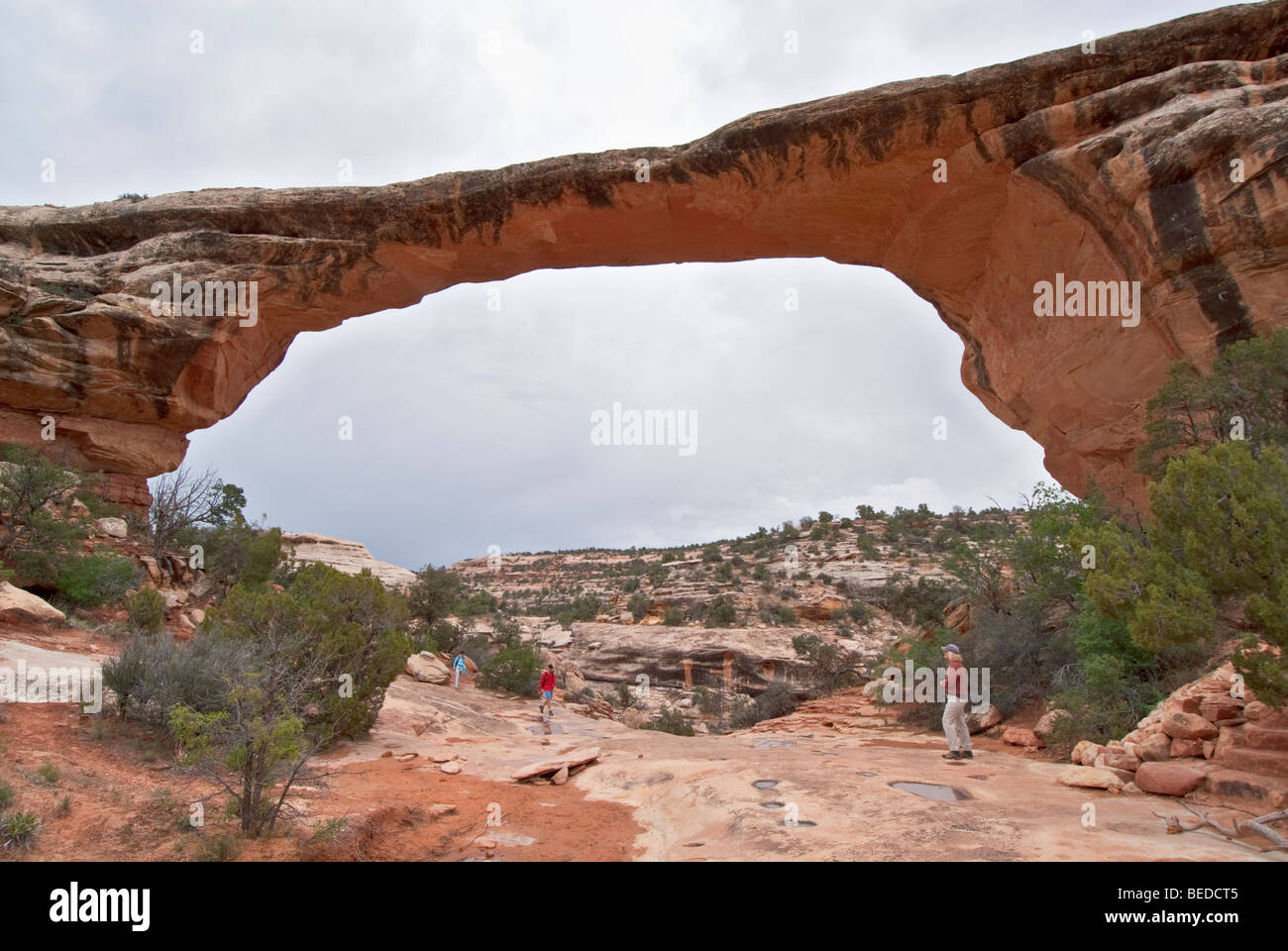 Utah Natural Bridges National Monument Owachomo Bridge Stock Photo Alamy