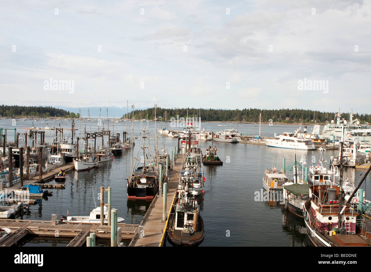 Nanaimo Harbour Stock Photo Alamy