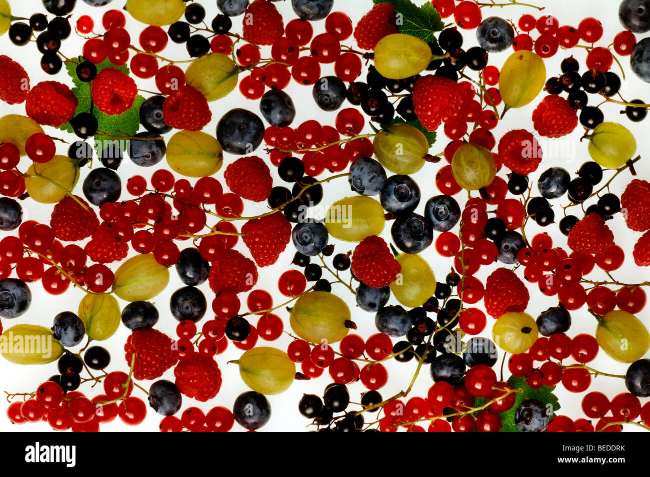 Different kinds of fruit, raspberries, gooseberries, red and black currants, blueberries Stock Photo