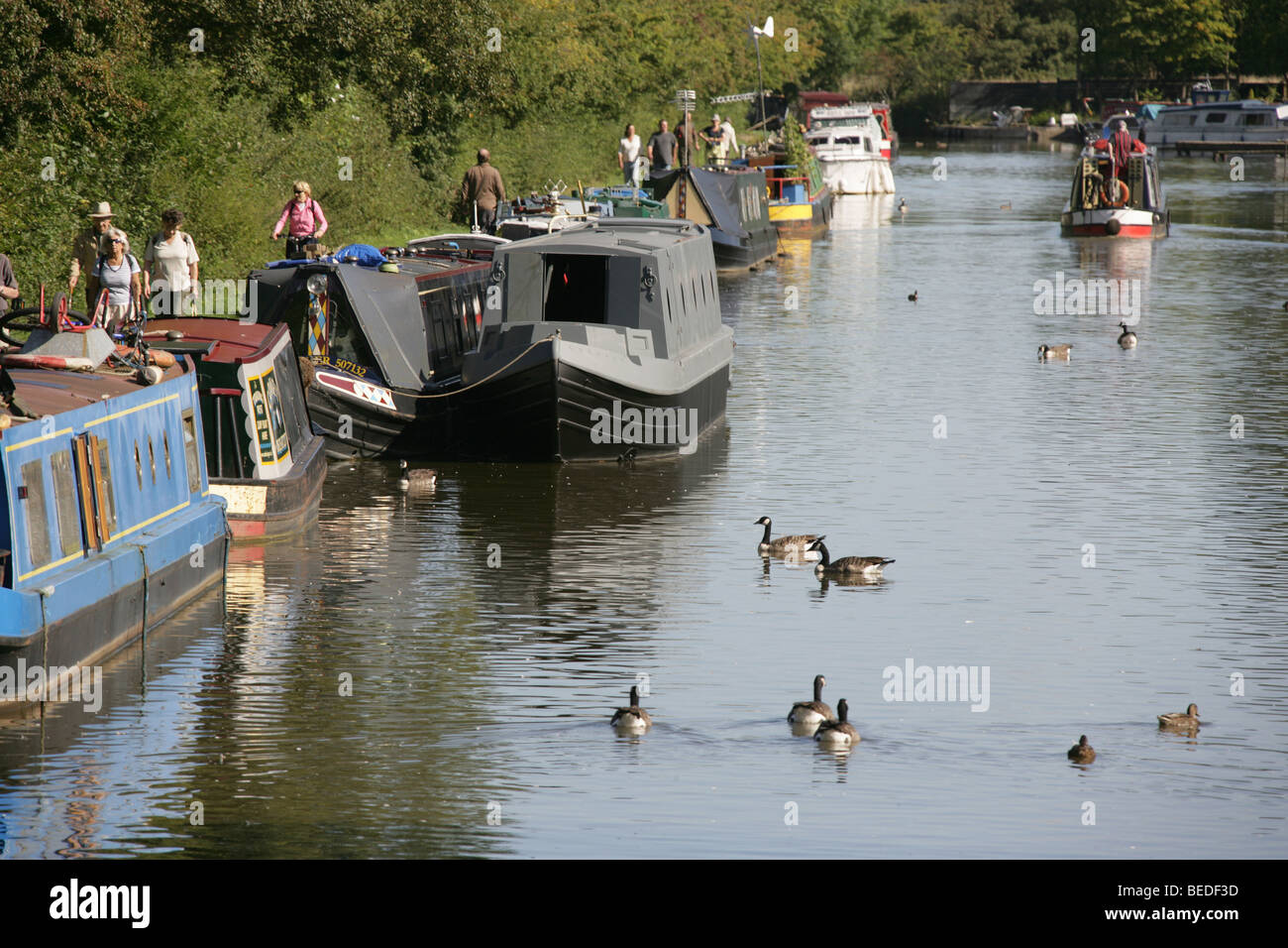 Higher poynton hires stock photography and images Alamy