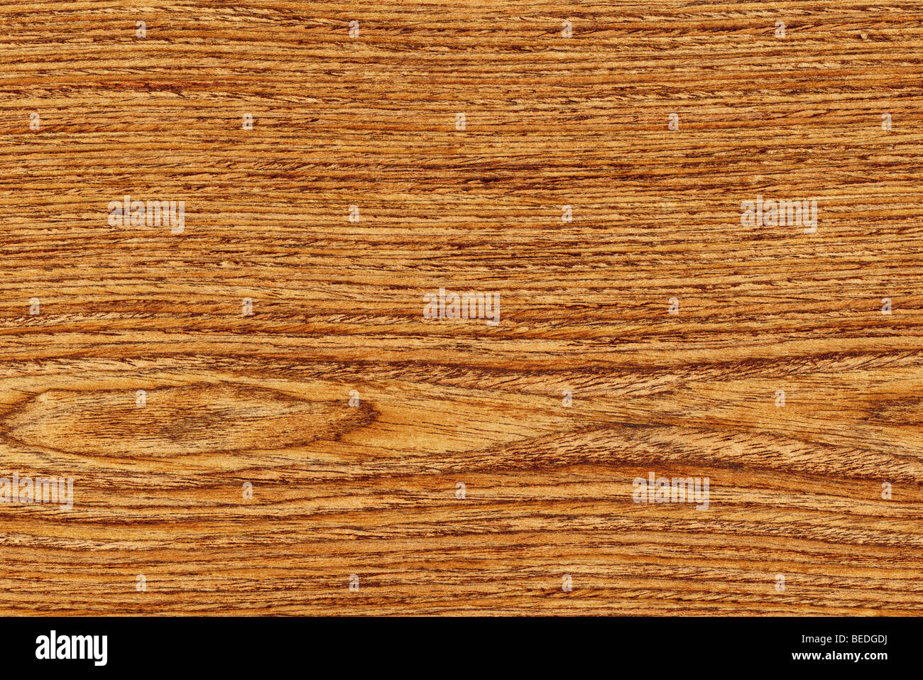 Texture of oak (high-detailed wood texture series) Stock Photo