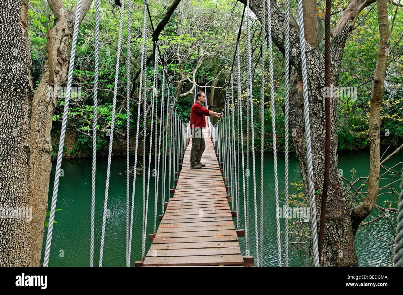 Man on a suspension bridge crossing the Blyde River, Malelane ...