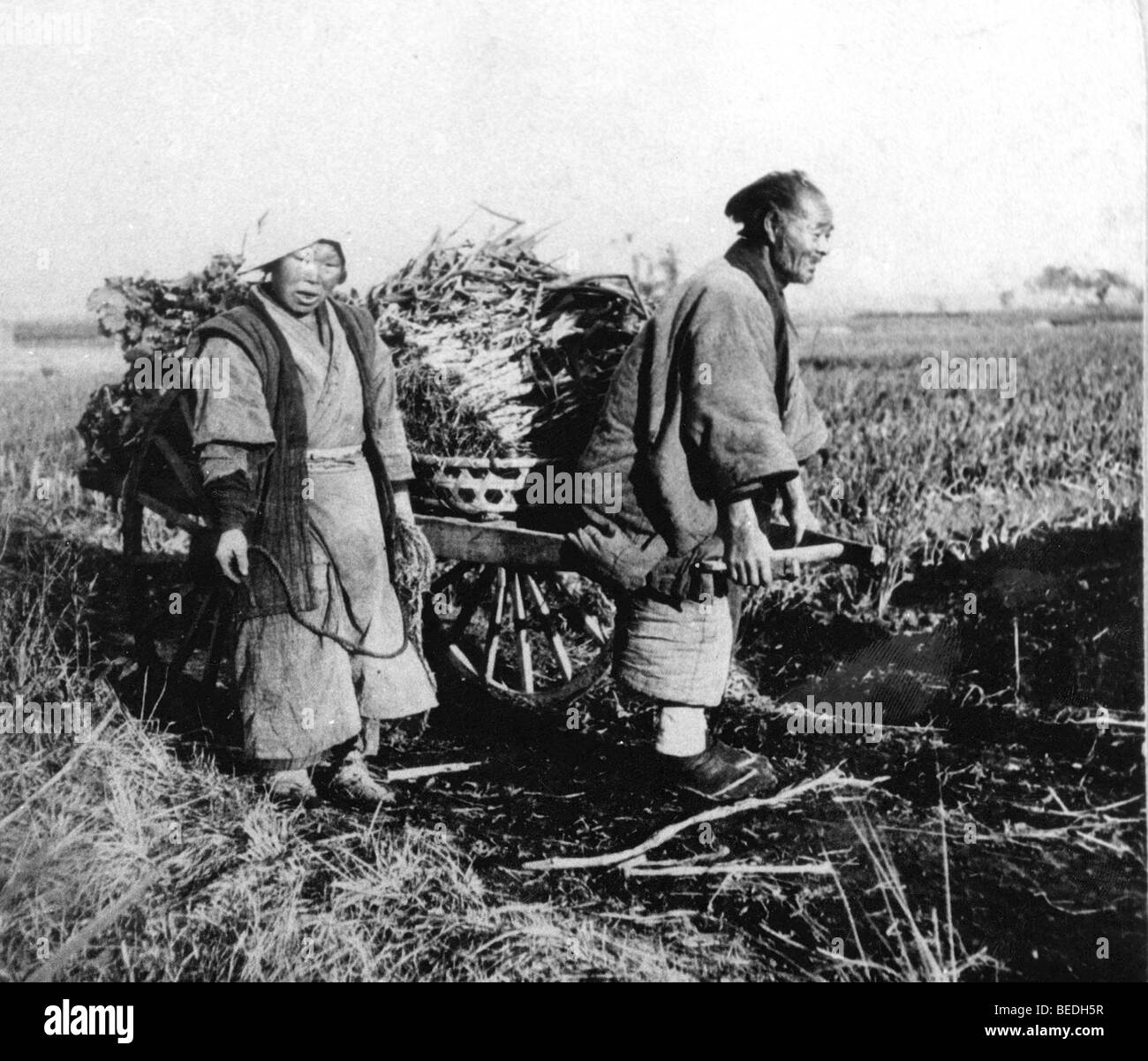 Apr 17, 1902; Tokyo, Japan; Women help their husbands with their hard everyday work in the Japanese fields. Mandatory Credit: Stock Photo