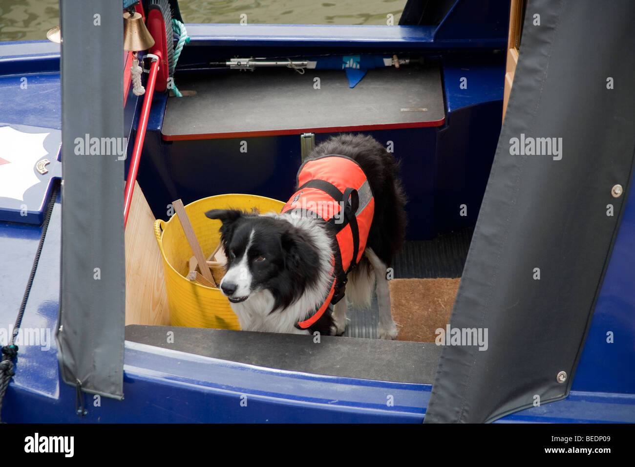 Dog canal boat hires stock photography and images Alamy