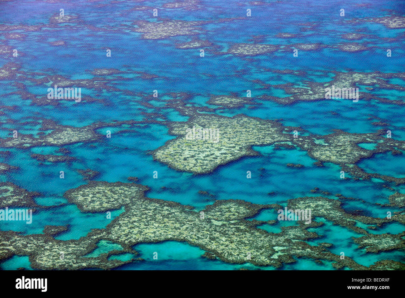 Aerial view of the ocean floor, Knuckle Reef, Great Barrier Reef World Heritage Area, Great Barrier Reef, UNESCO World Heritage Stock Photo