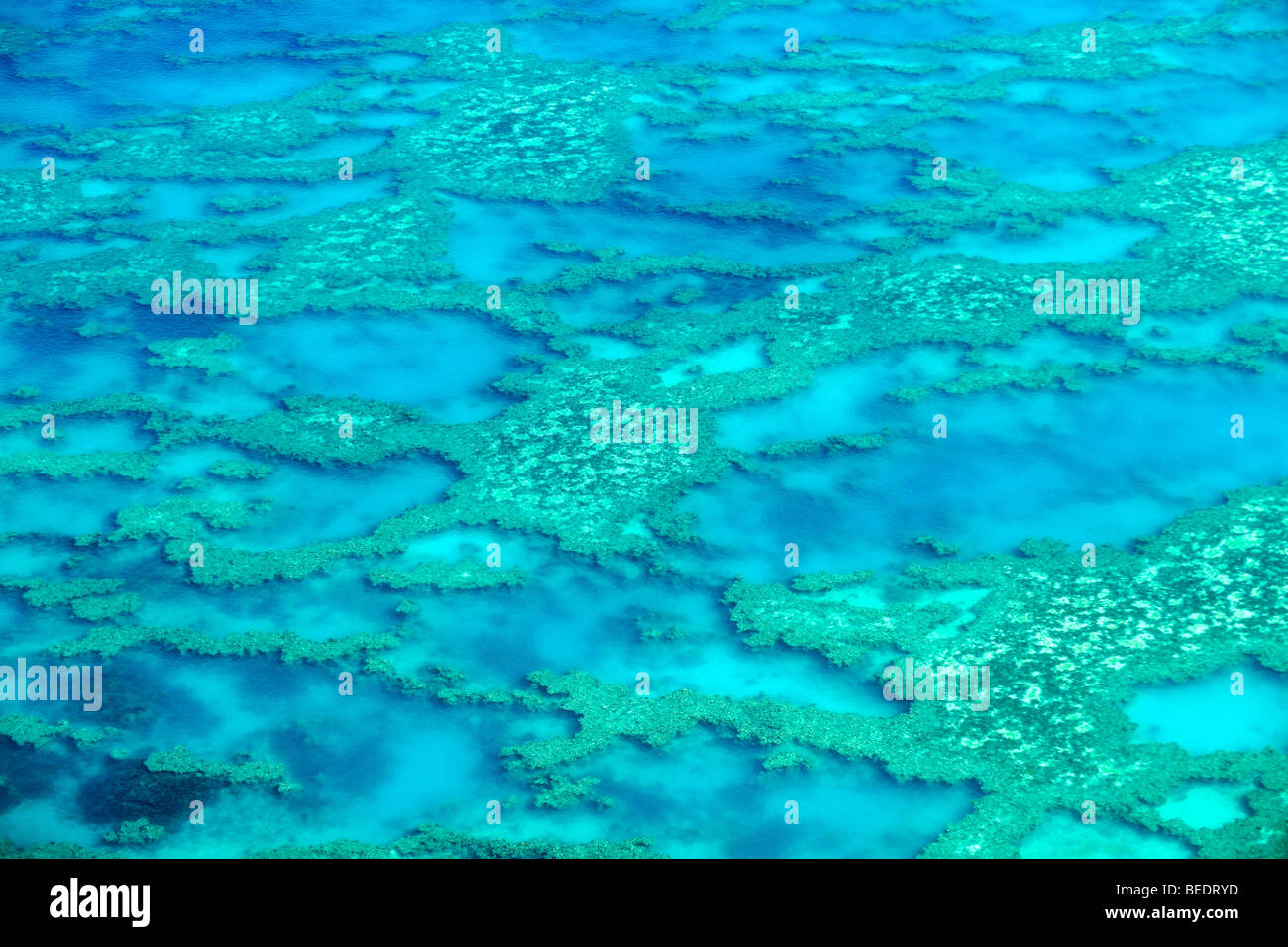 Aerial view of the ocean floor, Hook Reef, Great Barrier Reef World Heritage Area, Great Barrier Reef, UNESCO World Heritage Si Stock Photo