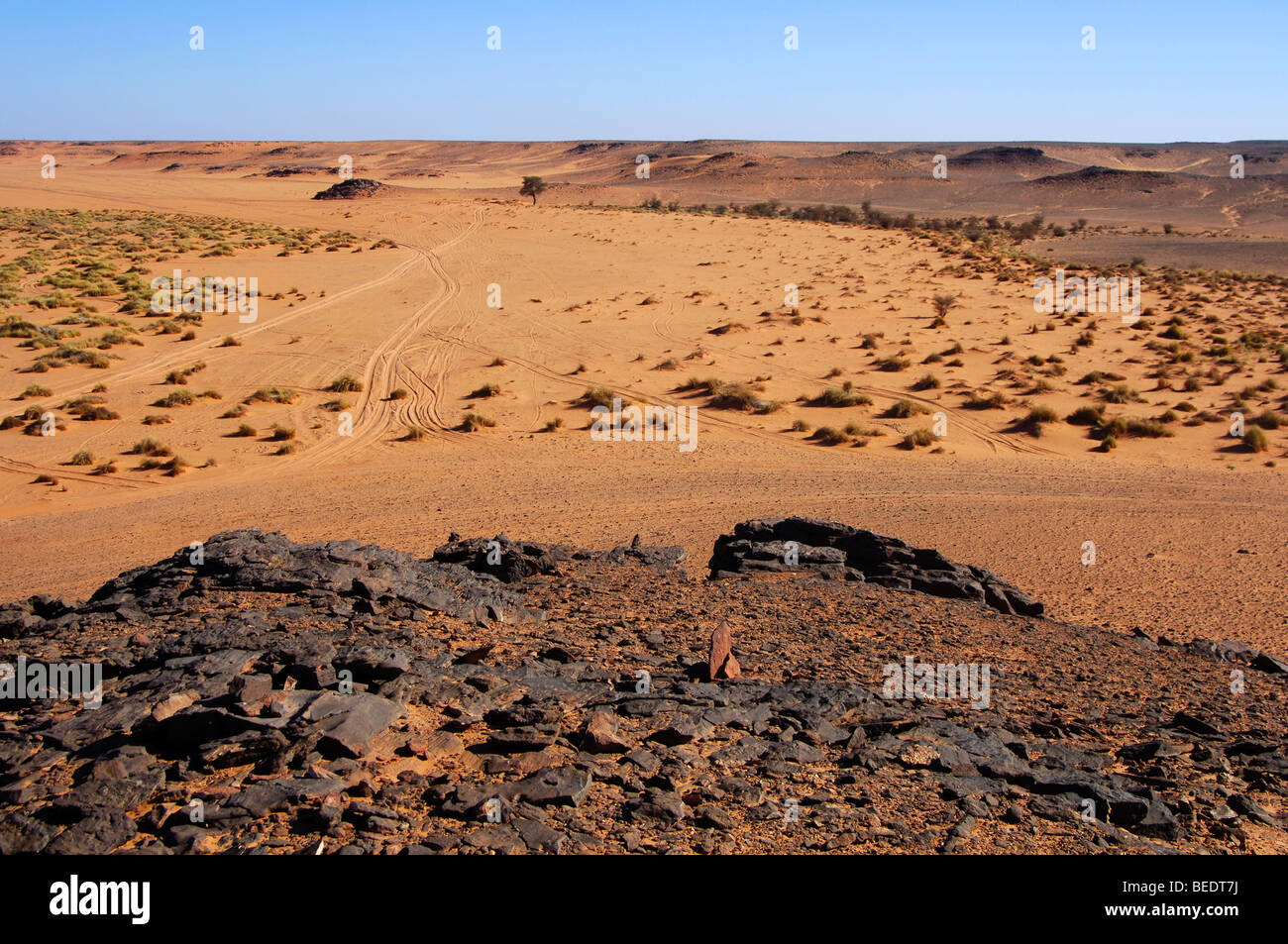 Transitional zone between sandy desert, erg, and stony desert, Hamada, Sahara, Libya, Africa Stock Photo