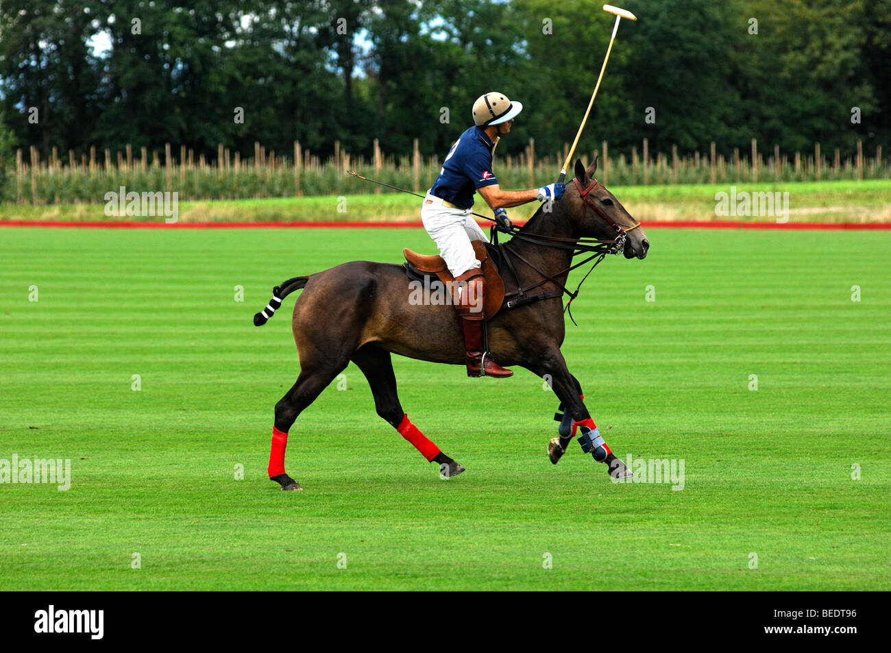 Polo player perfectely raising the bat after hitting the ball, polo