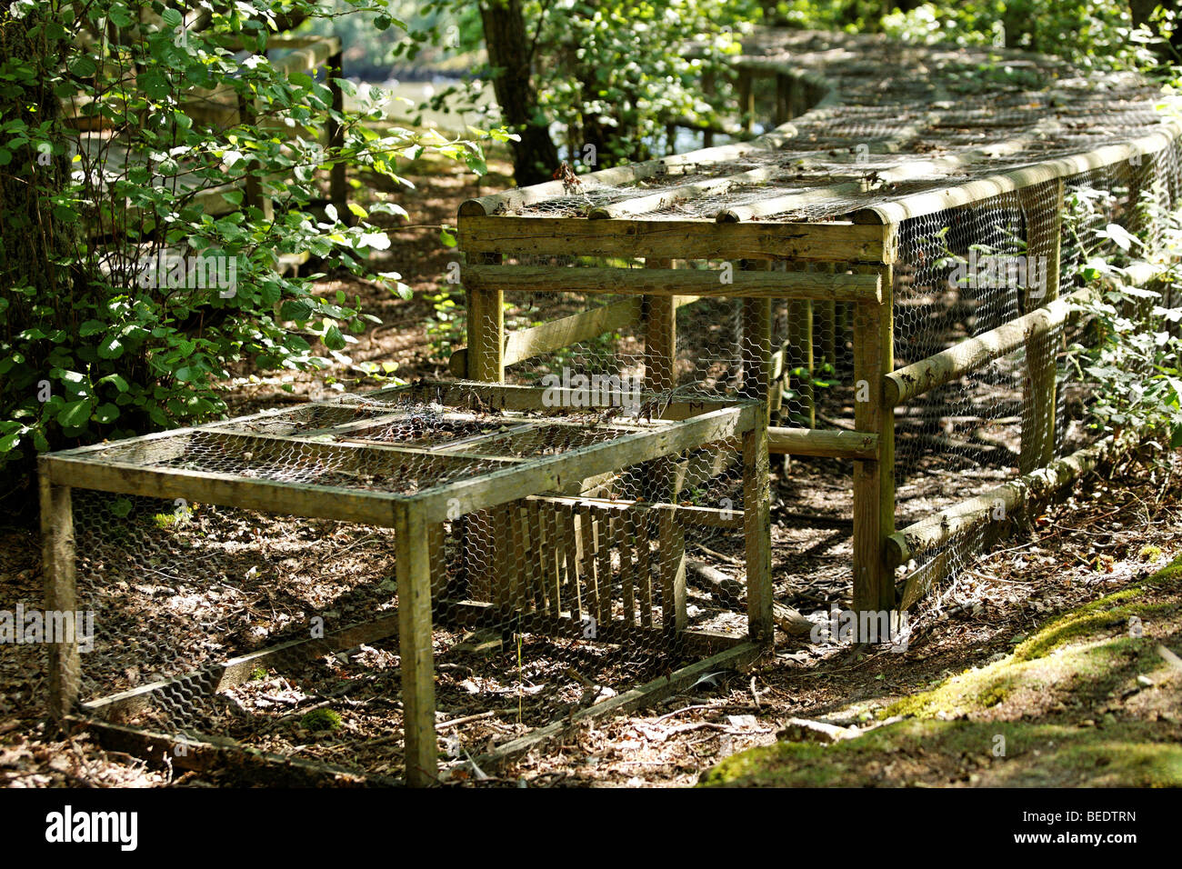 Trap for catching water birds Stock Photo