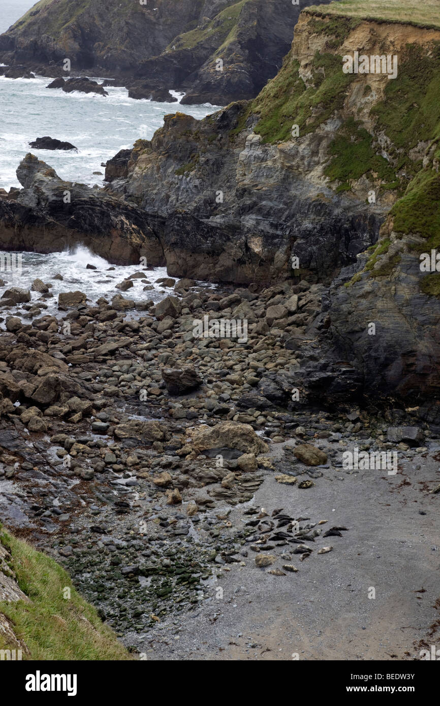 Mutton cove beach hires stock photography and images Alamy