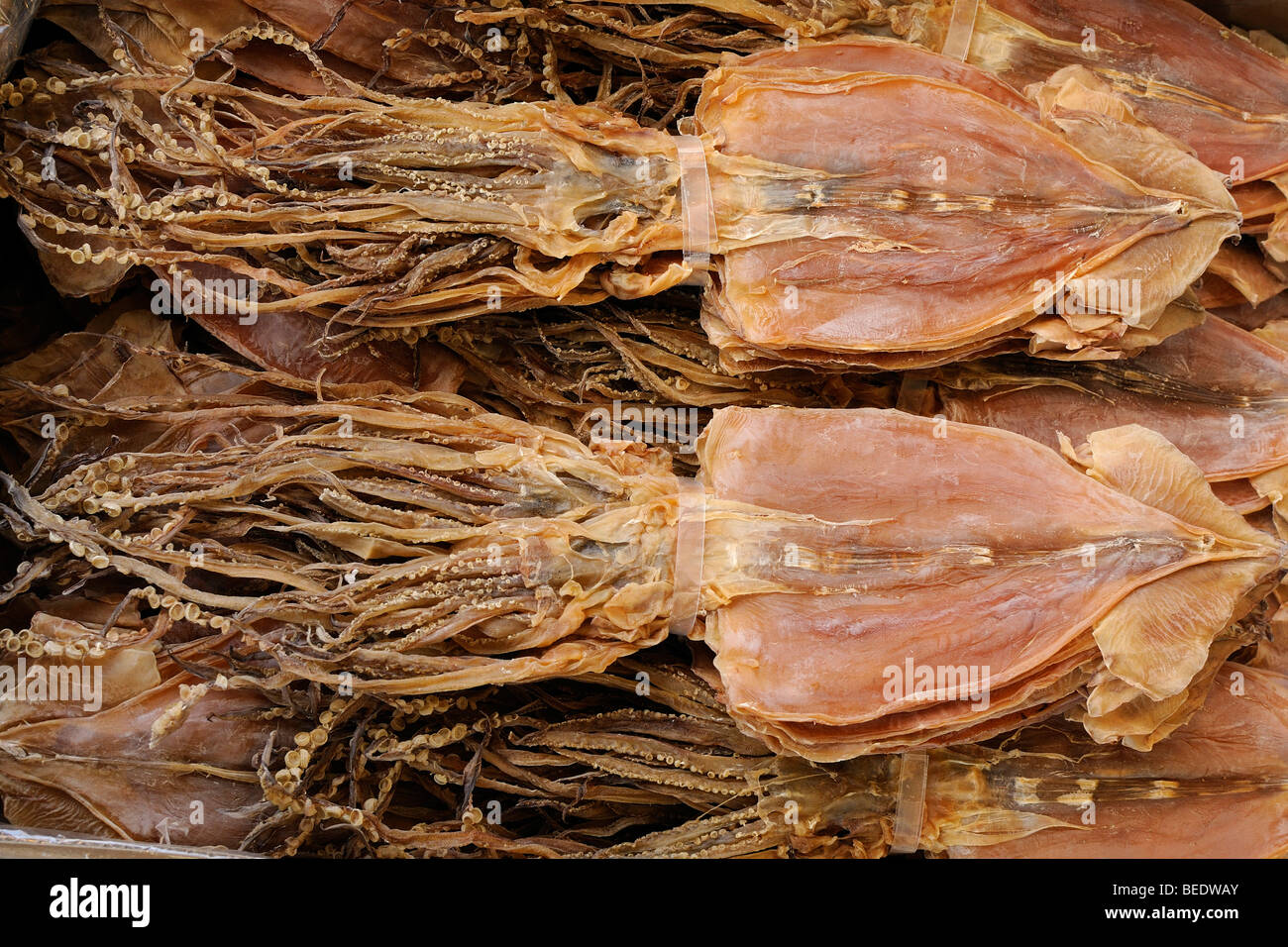 Dried squid at a fish market in Kyoto, Japan, East Asia, Asia Stock