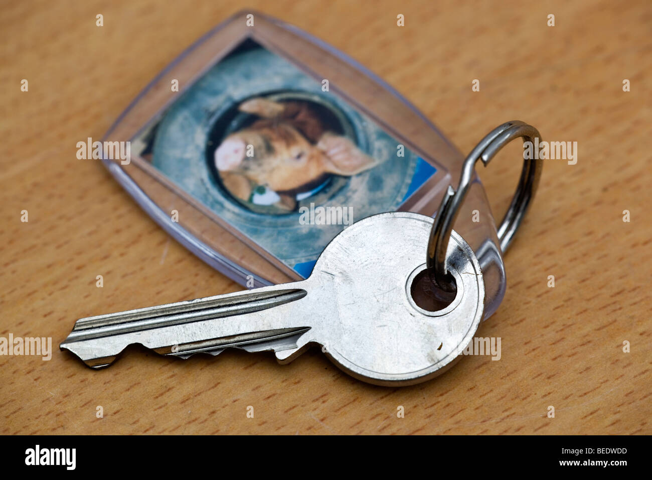 Key ring and key Stock Photo