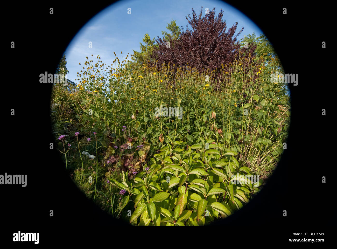 Massachusetts Botanic Garden Stock Photos Massachusetts Botanic