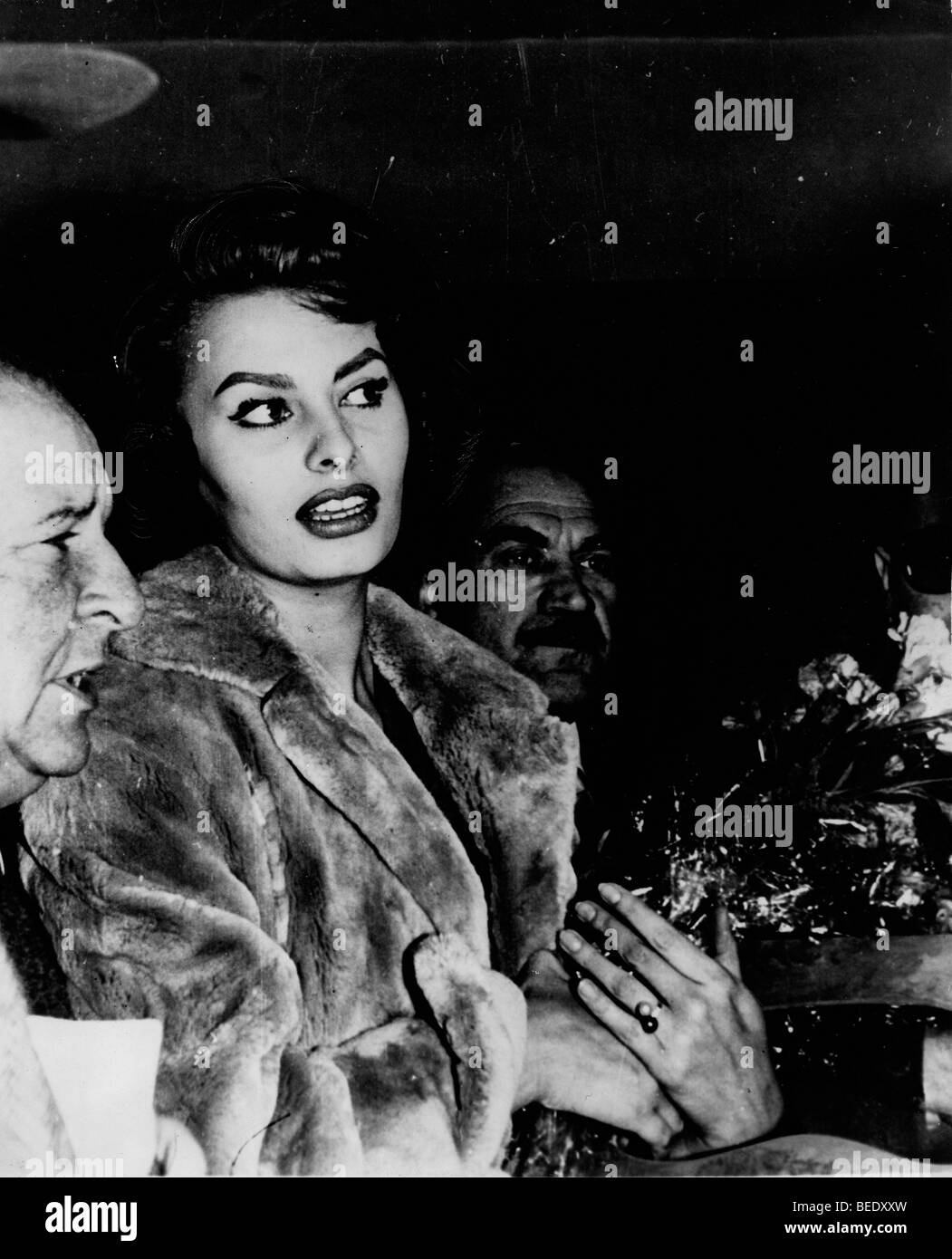 Actress Sophia Loren arriving in Madrid Stock Photo