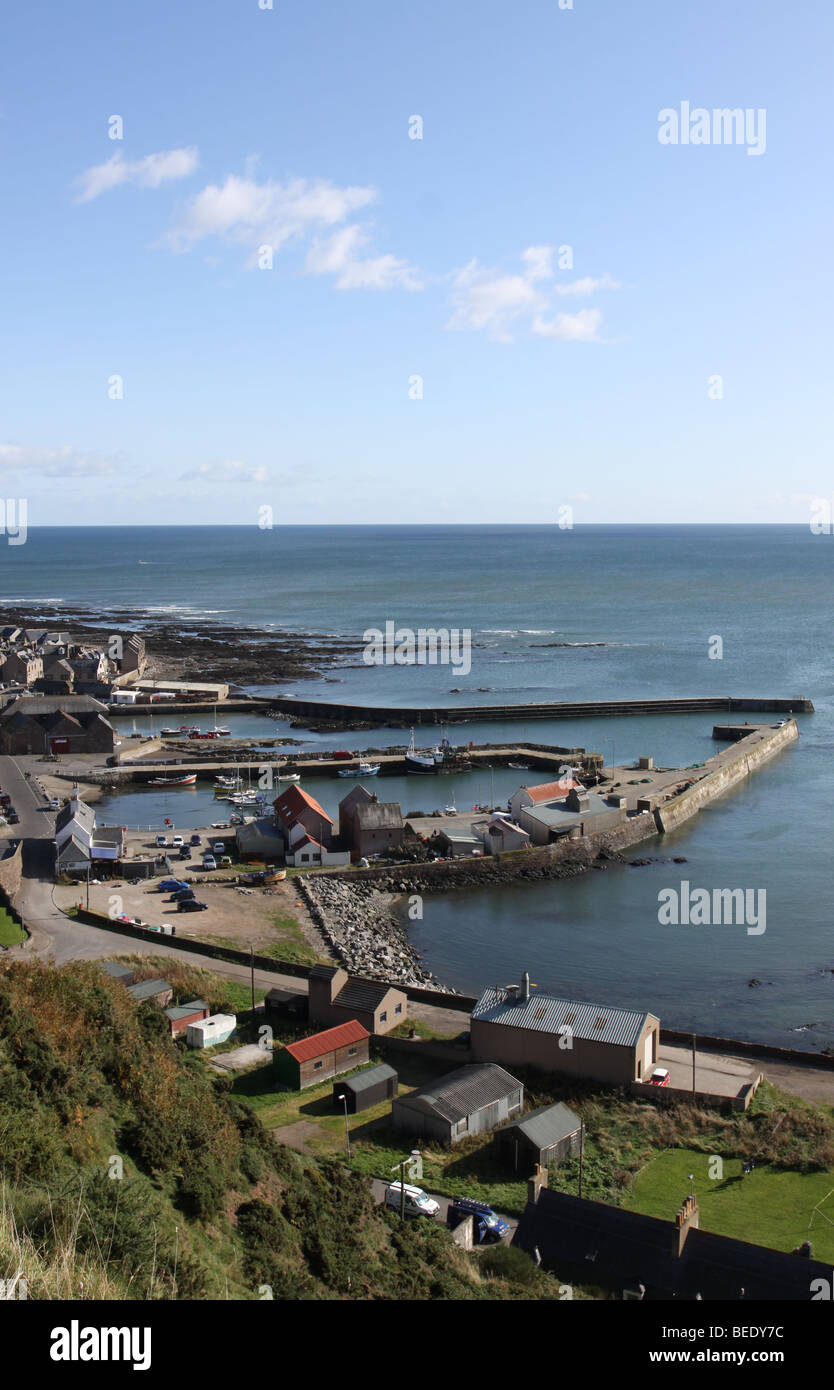 elevated view of Gourdon harbour, Aberdeenshire, Scotland October 2009