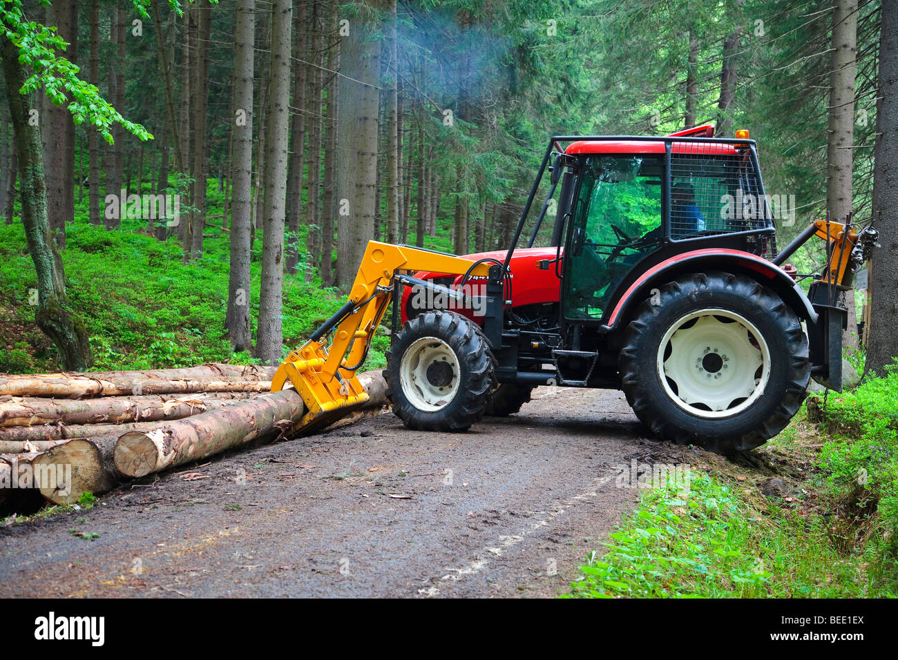 Tractor lifting a cut tree on a pile alongside a road in the woods Stock Photo