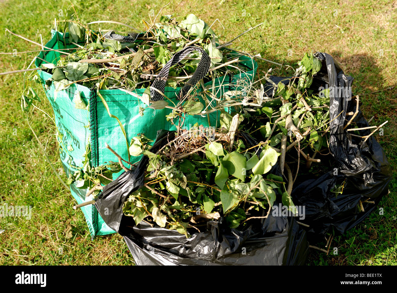 GARDEN WASTE RECYCLING BAGS IN GARDEN Stock Photo Alamy