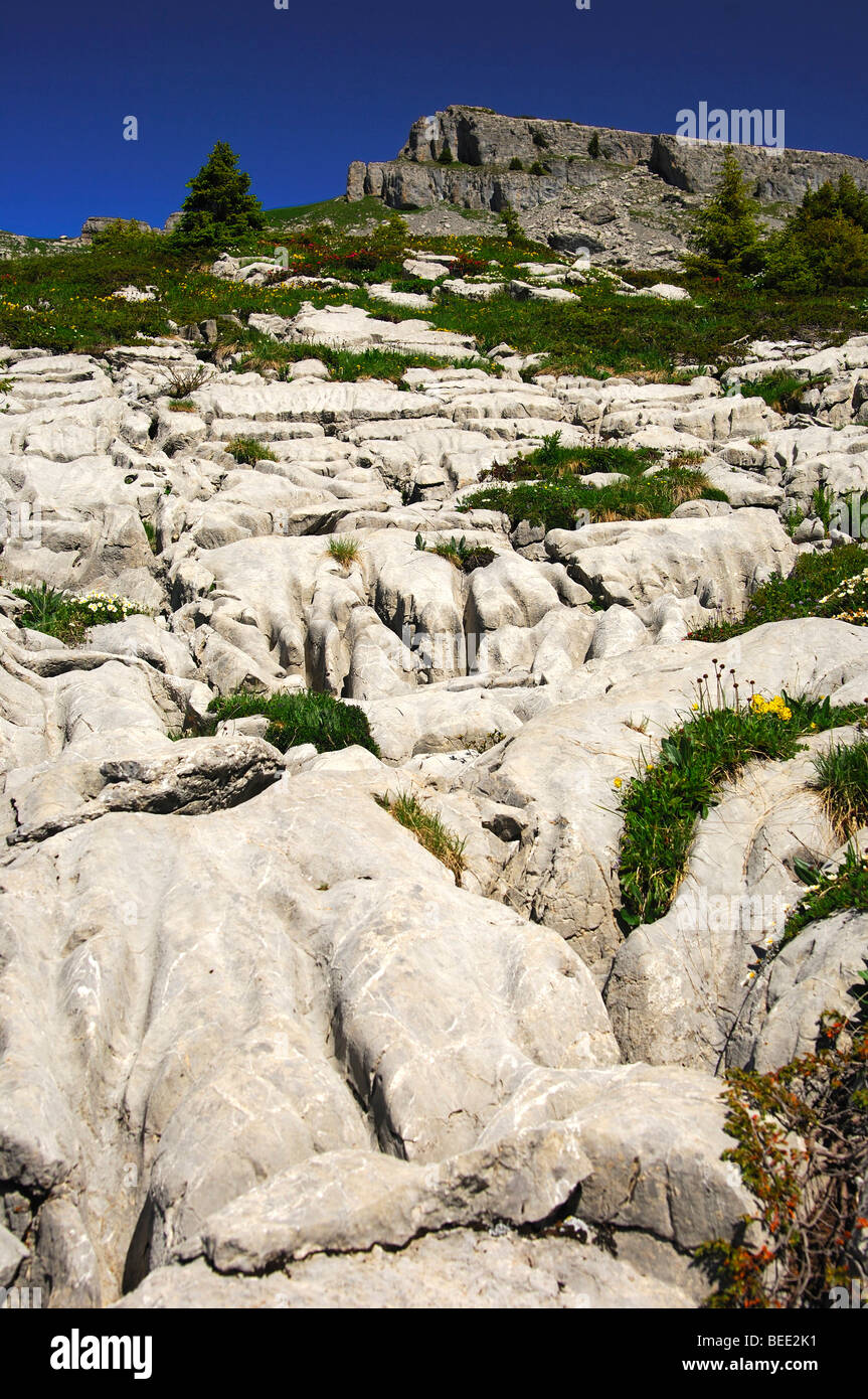 Glacier striations in the bedrock, the Alps, Bernese Oberland, Switzerland, Europe Stock Photo