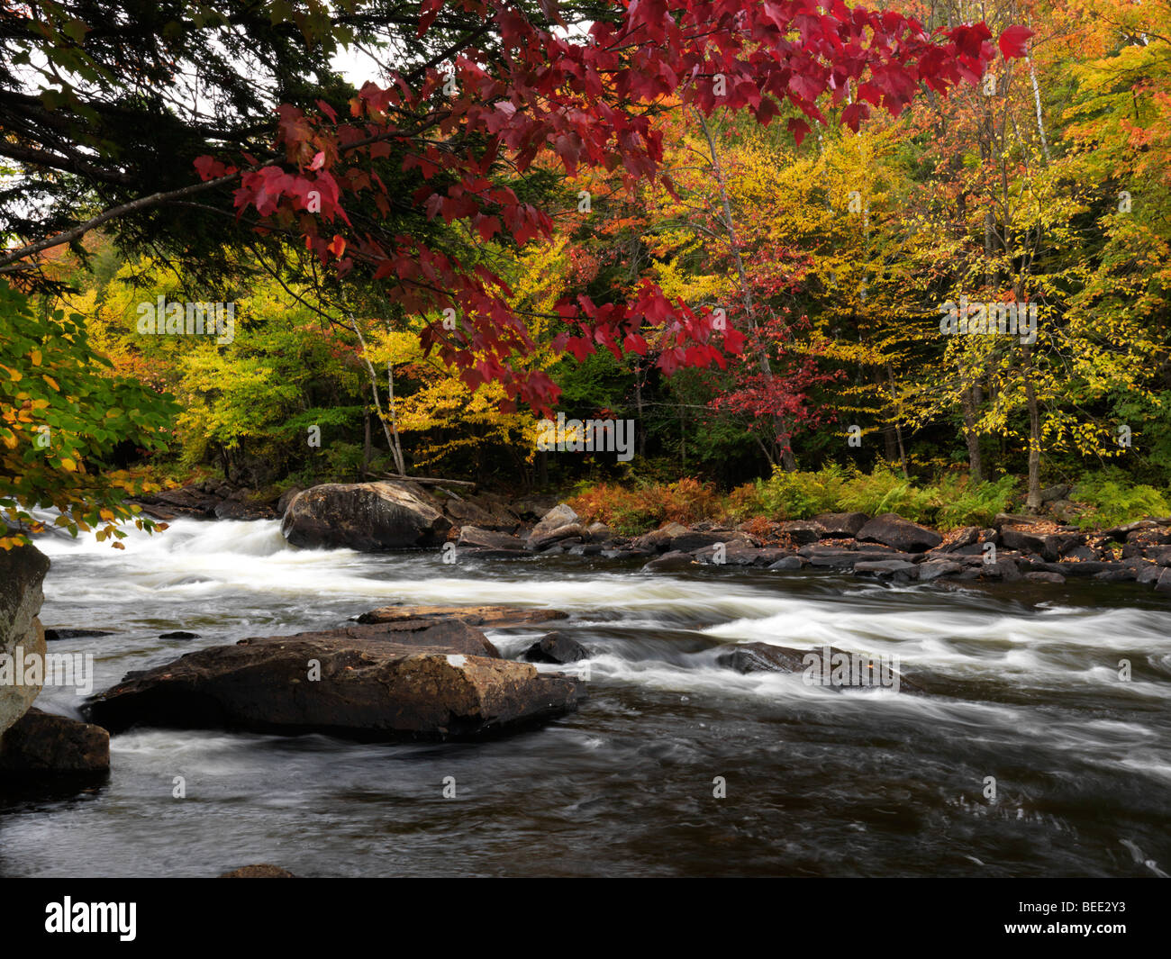 Oxtongue Rapids. Beautiful fall nature scenery. Stock Photo