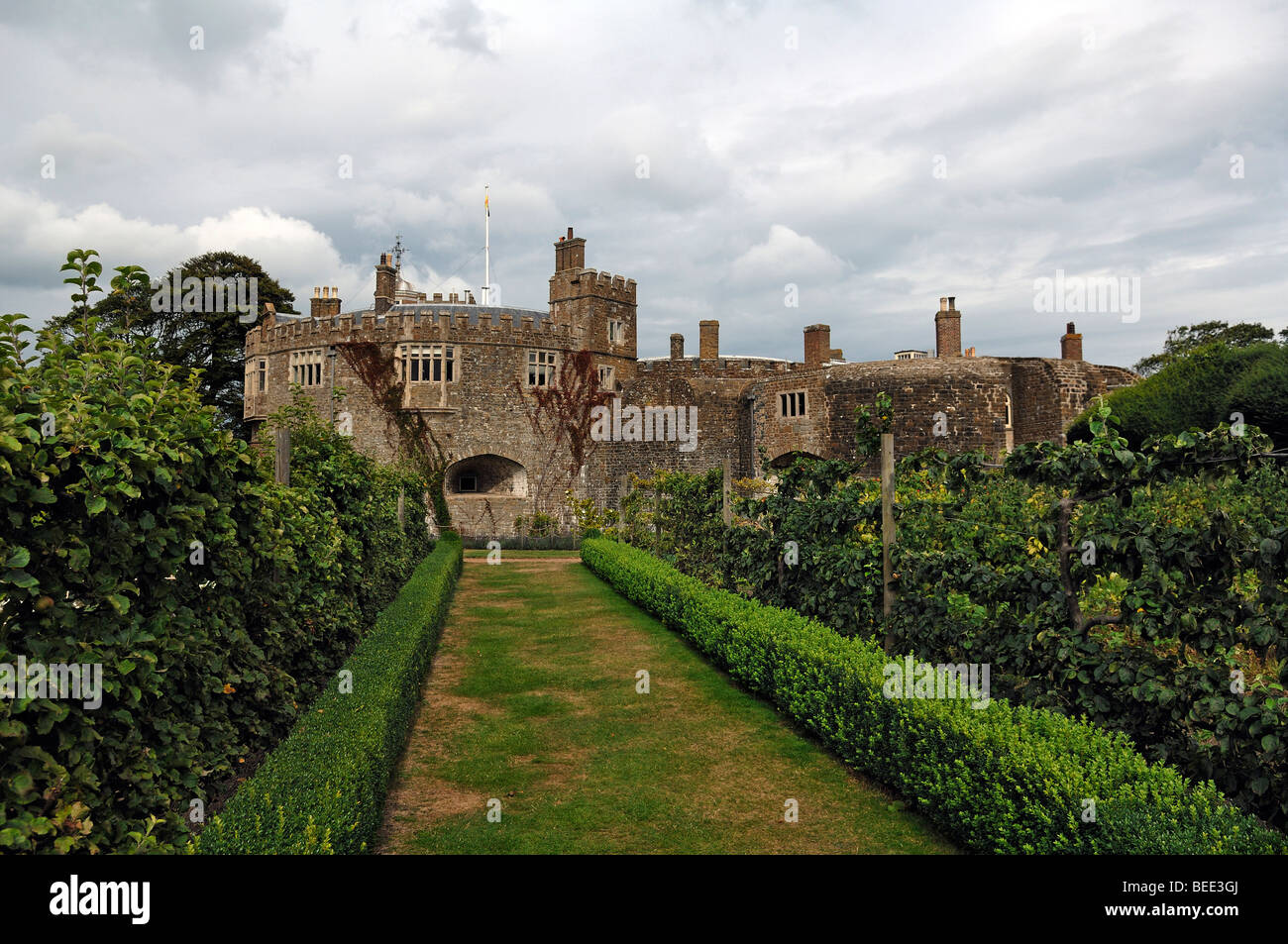 Orchard of Walmer Castle, 1540, Walmer, Deal, Kent, England, United Kingdom, Europe Stock Photo