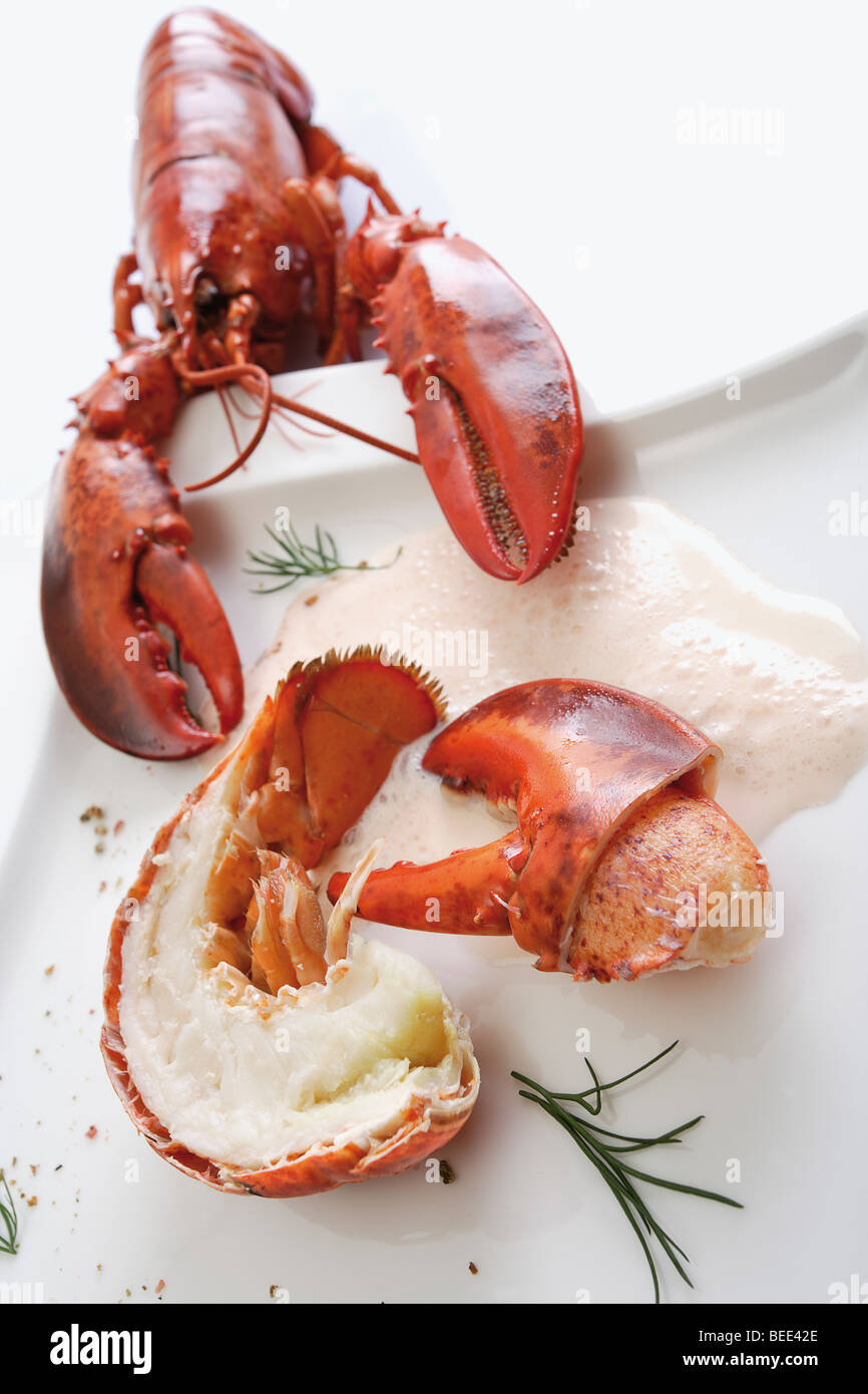 Lobster tail and a lobster claw cooked in a sauce Stock Photo Alamy