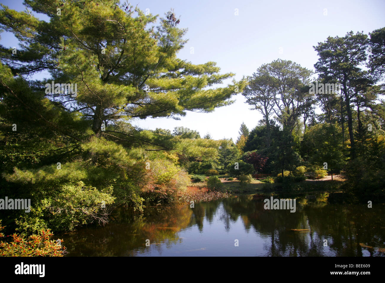 chappaquiddick edgartown garden japanese Chappaquiddick edgartown garden japanese