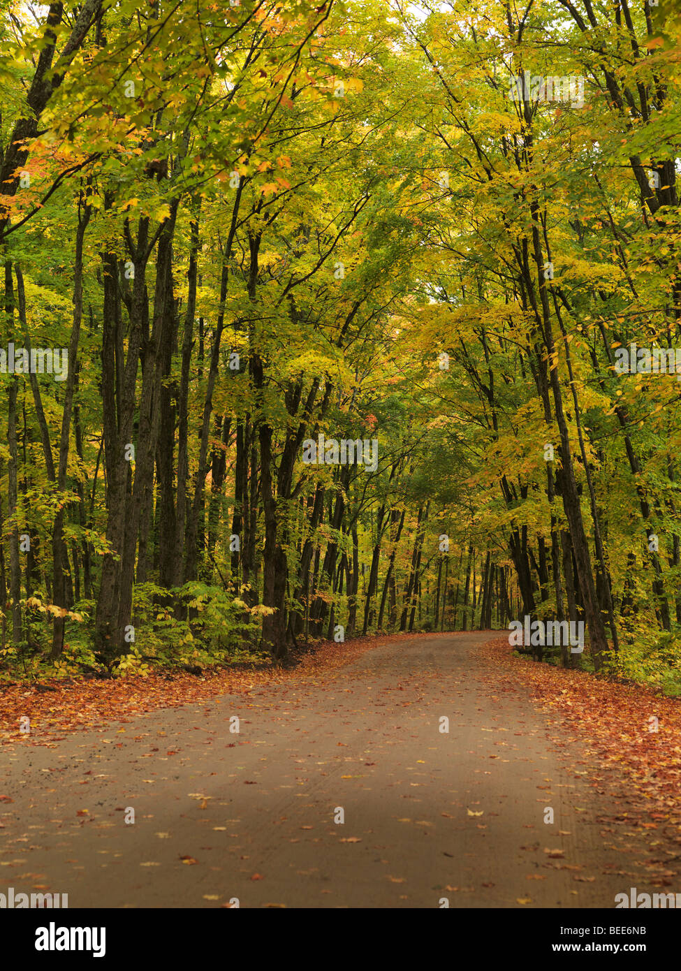 Winding unpaved road through beautiful fall nature scenery. Stock Photo