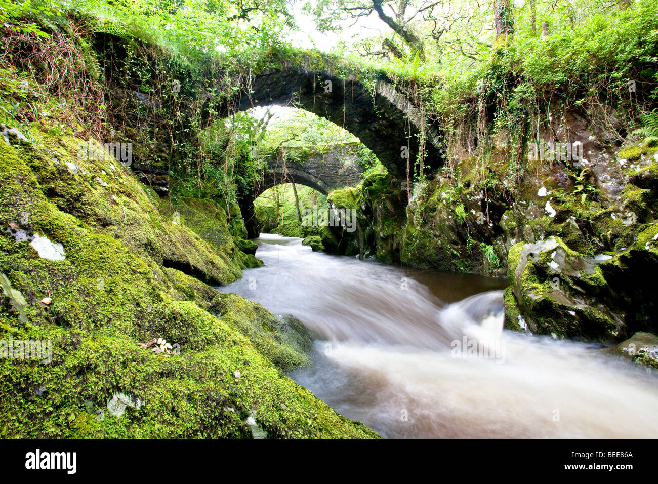 The ancient Roman bridge over the River Machno at Penmachno near Betws y Coed, Snowdonia, North Wales Stock Photo