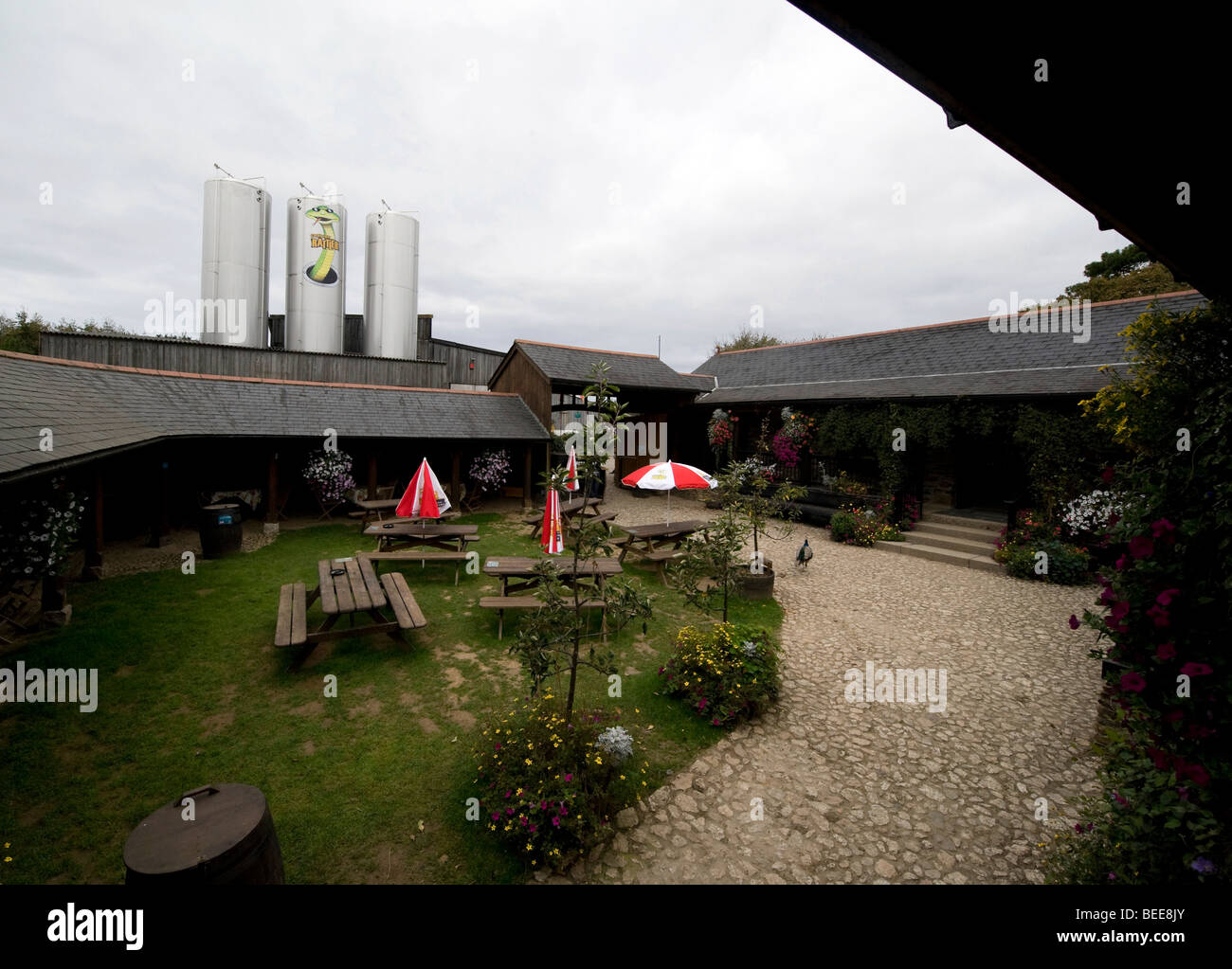 Healey's Cider Farm home of The Cornish Rattler Stock Photo Alamy
