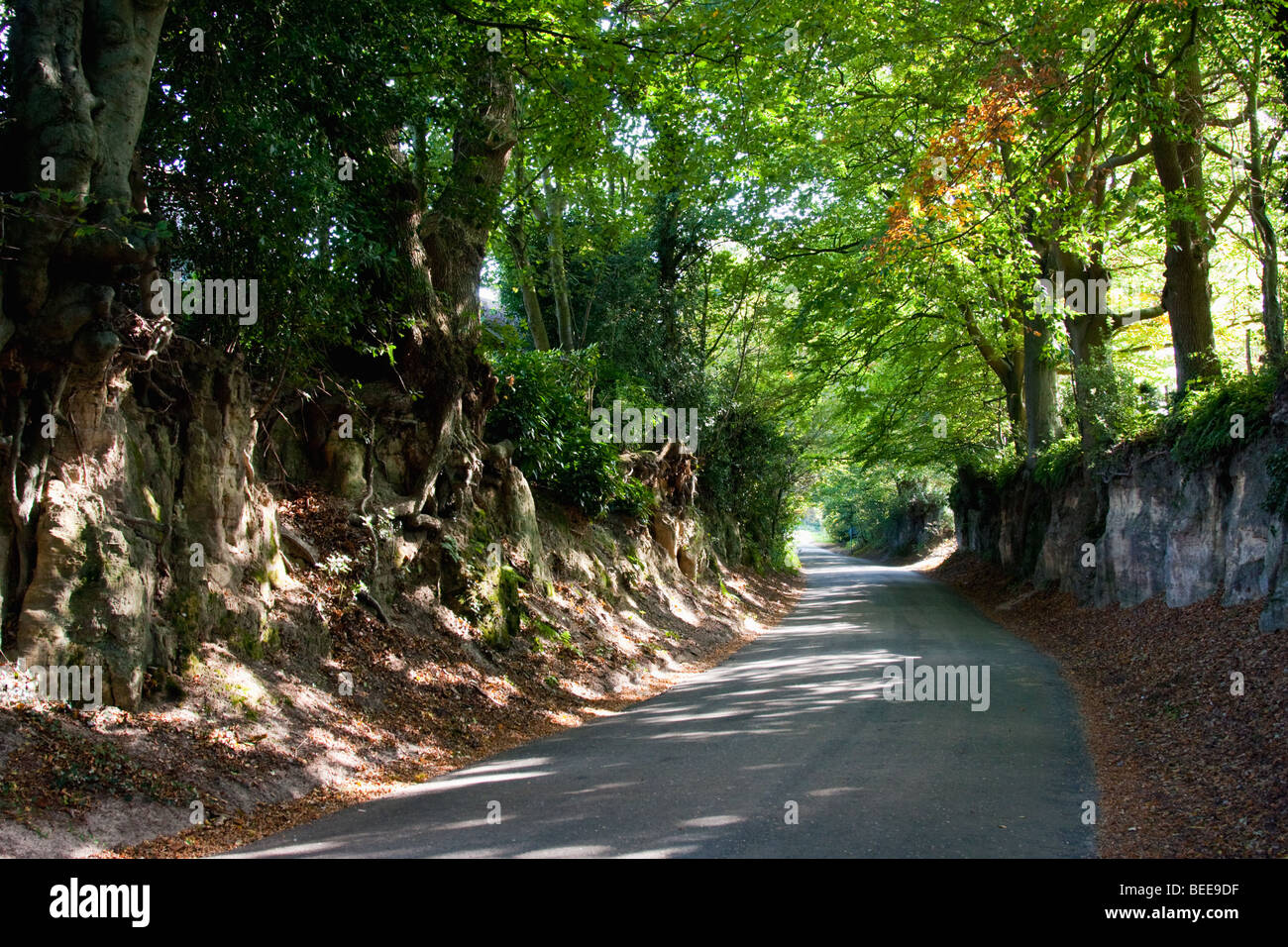 Quiet country lane in Sussex England. Stock Photo