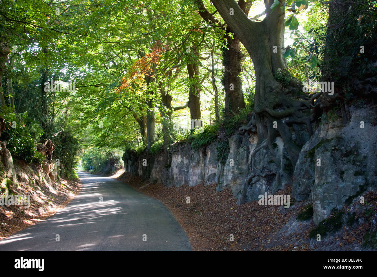 Waldron hires stock photography and images Alamy