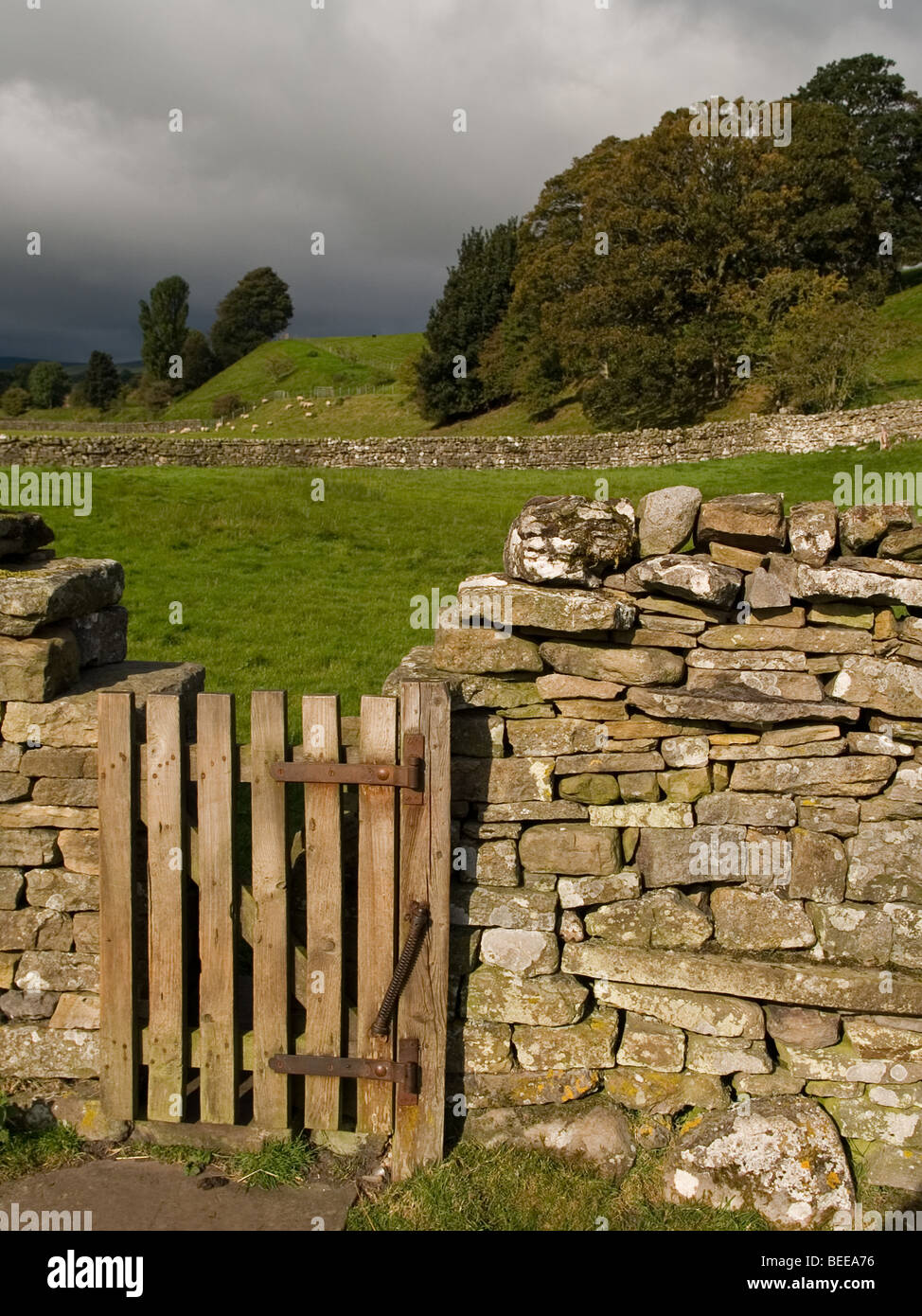 Gate and drystone wall Stock Photo
