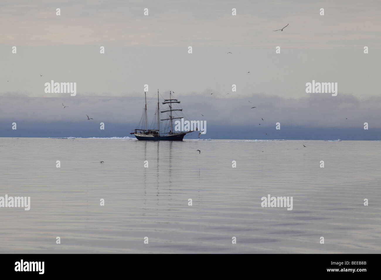 Tall Sailing Ship in the placid Arctic Ocean North of  Svalbard Surrounded by Seabirds Stock Photo