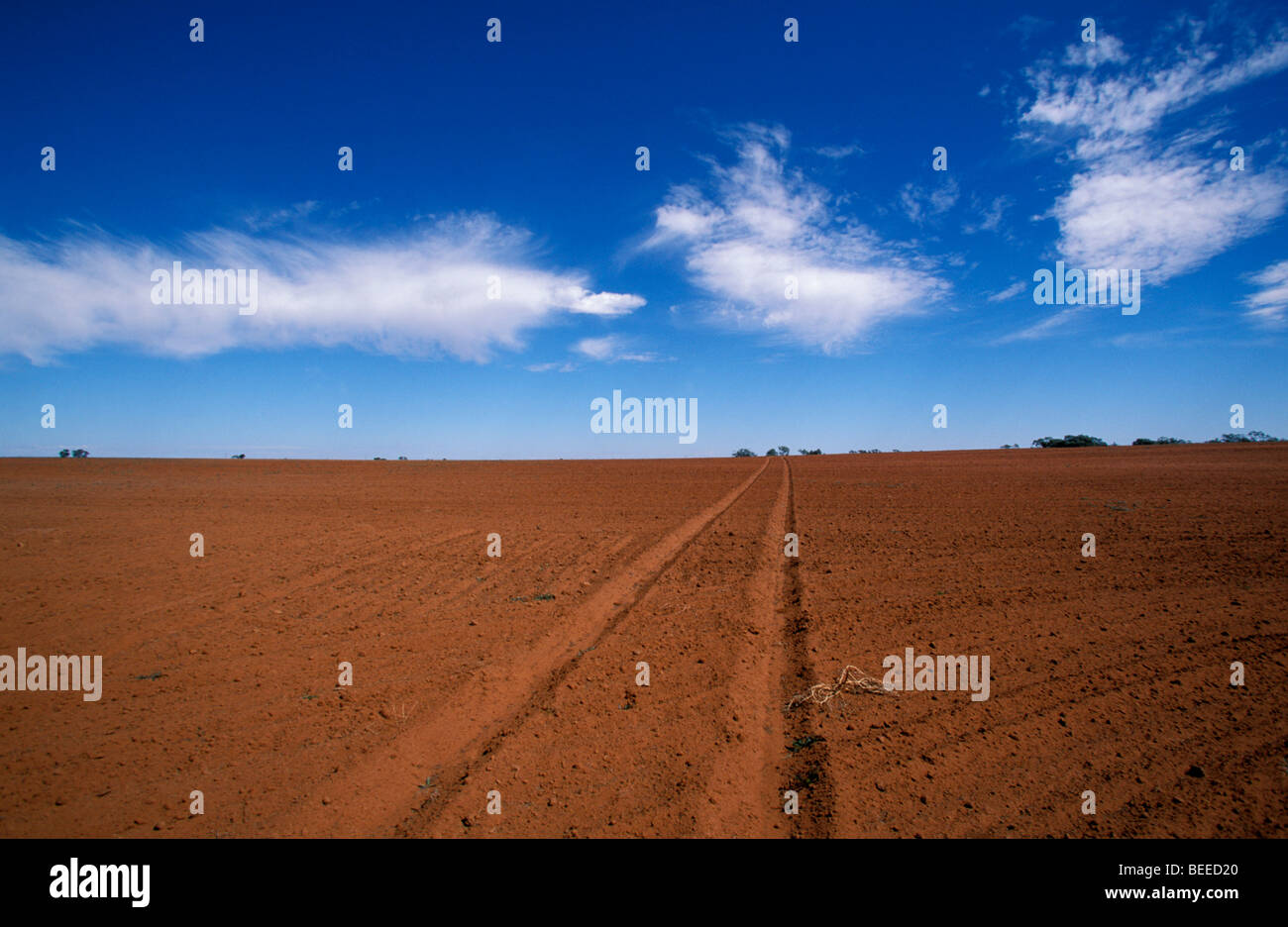 Ploughed paddock and Tire Tracks waiting for rain Moulamein District South West New South Wales Australia Stock Photo