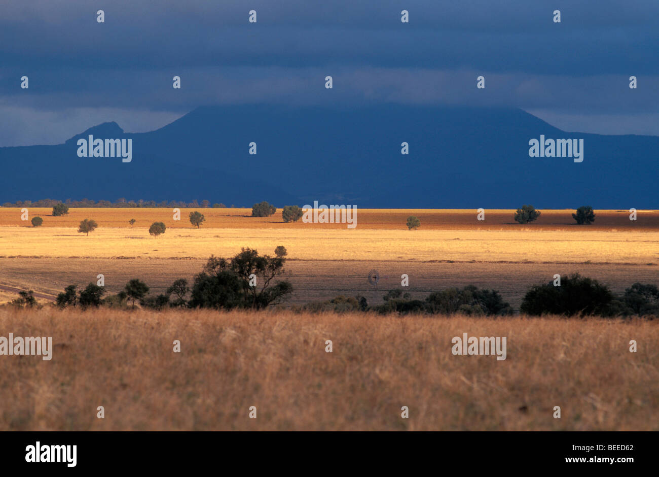 Rural Landscape and Mount Kaputer National Park Moree District New South Wales Australia Stock Photo