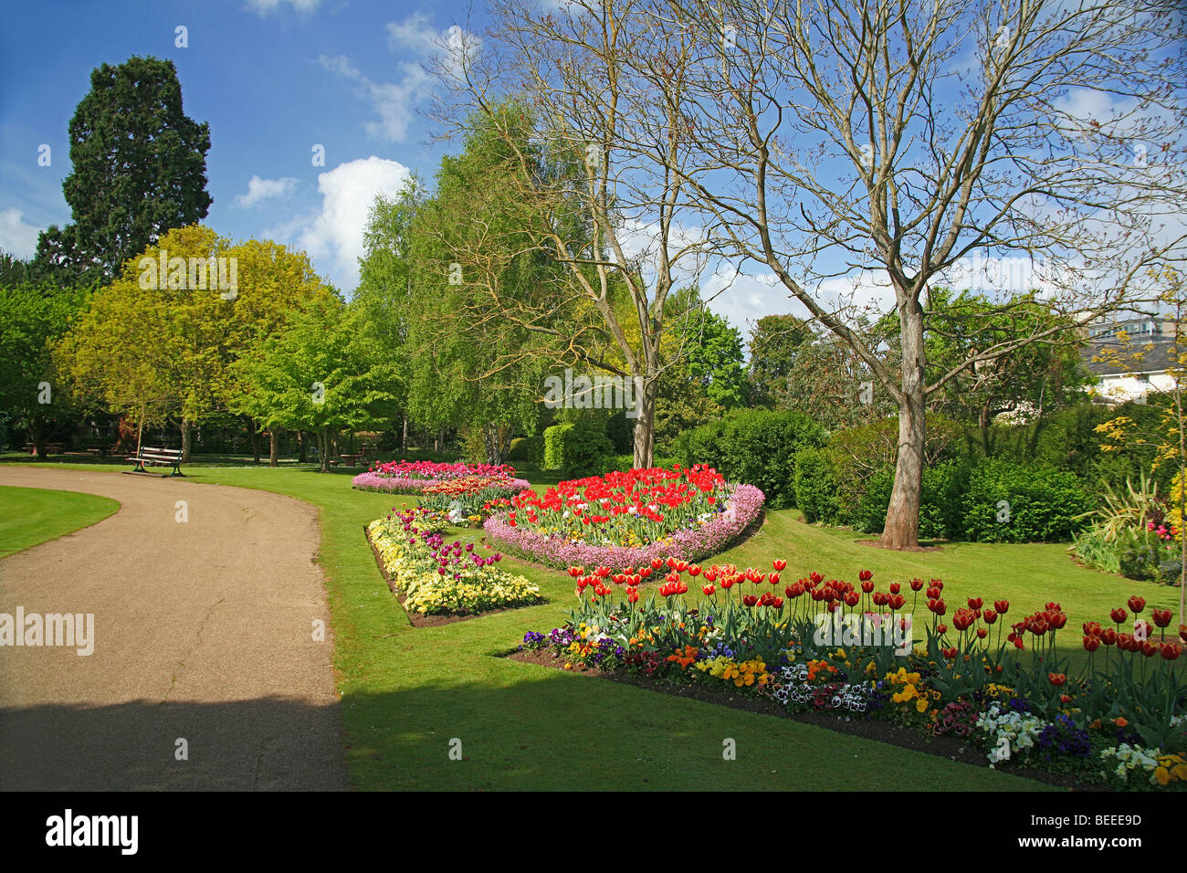Spring bedding display in Vivary Park, Taunton, Somerset, England, UK ...
