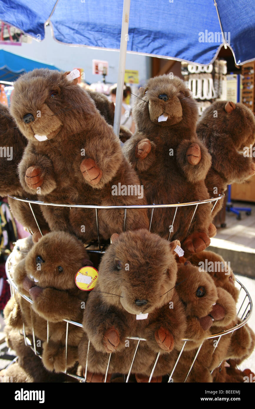 Boutique vendant des marmottes en peluche dans la station de ski  d'Artouste, France Photo Stock - Alamy