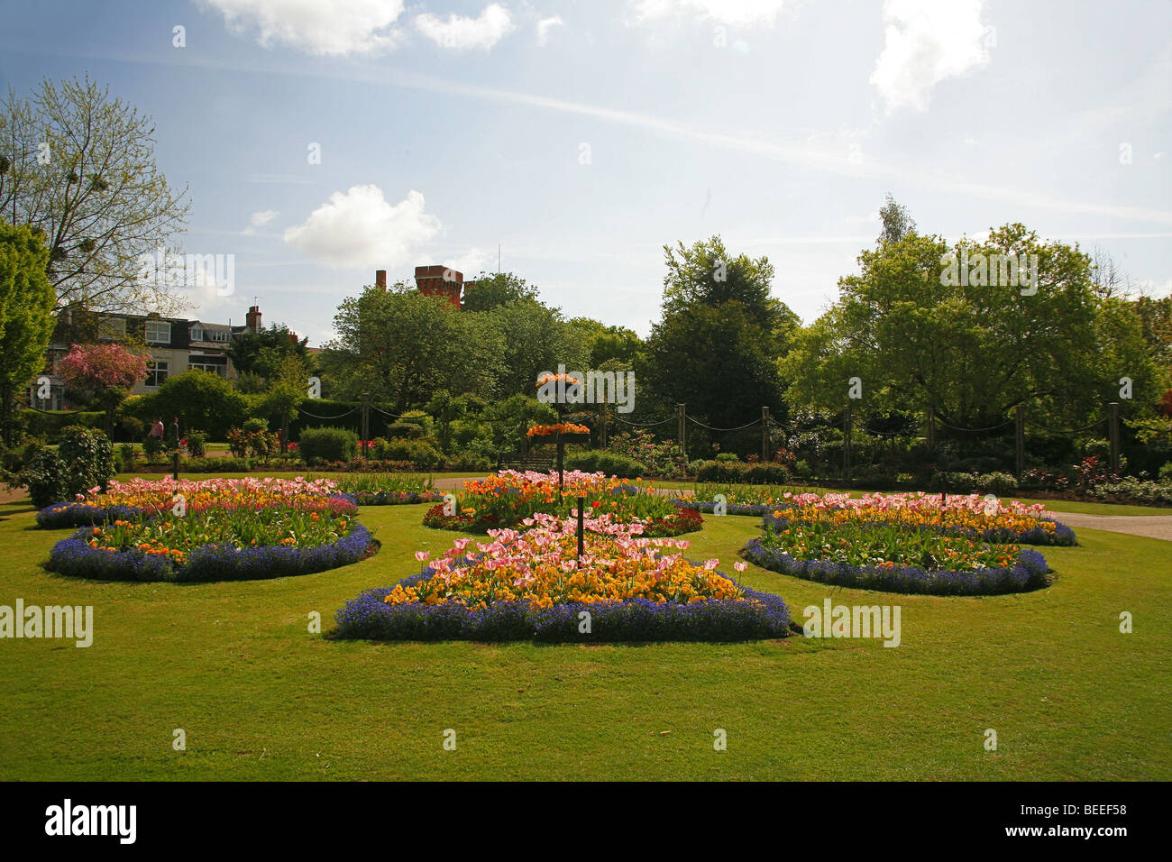 Spring bedding display in Vivary Park, Taunton, Somerset, England, UK ...