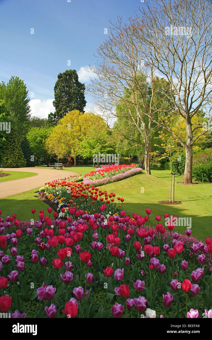 Public bedding display hi-res stock photography and images - Alamy