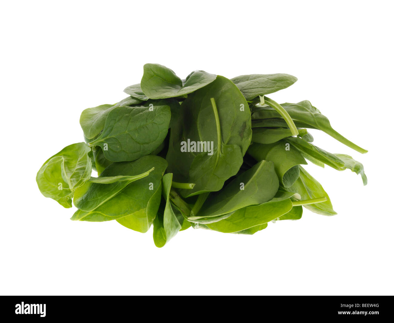 Spinach Stock Photo