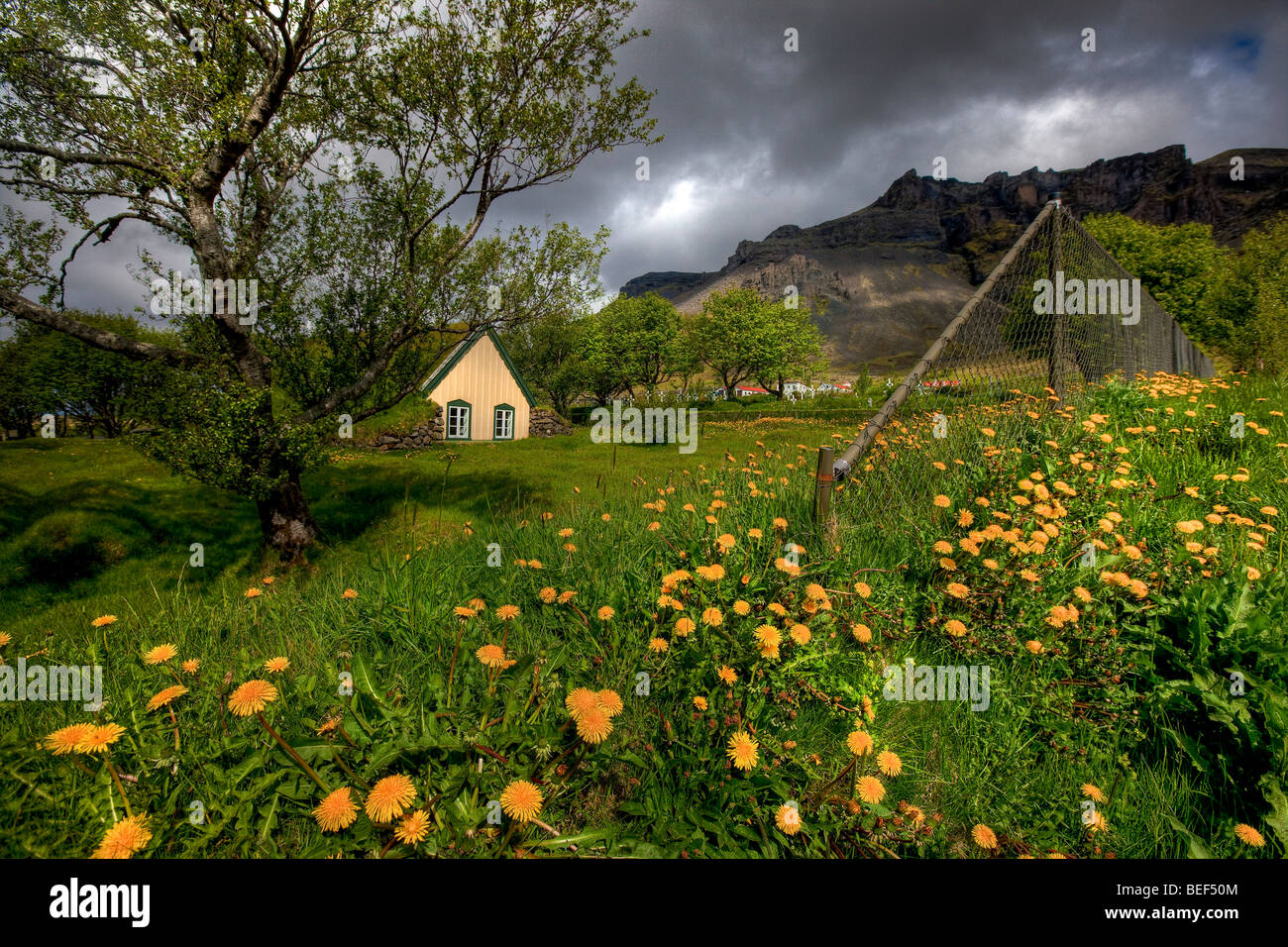 Historical church with tufted roof, Hofskirkja, Iceland Stock Photo