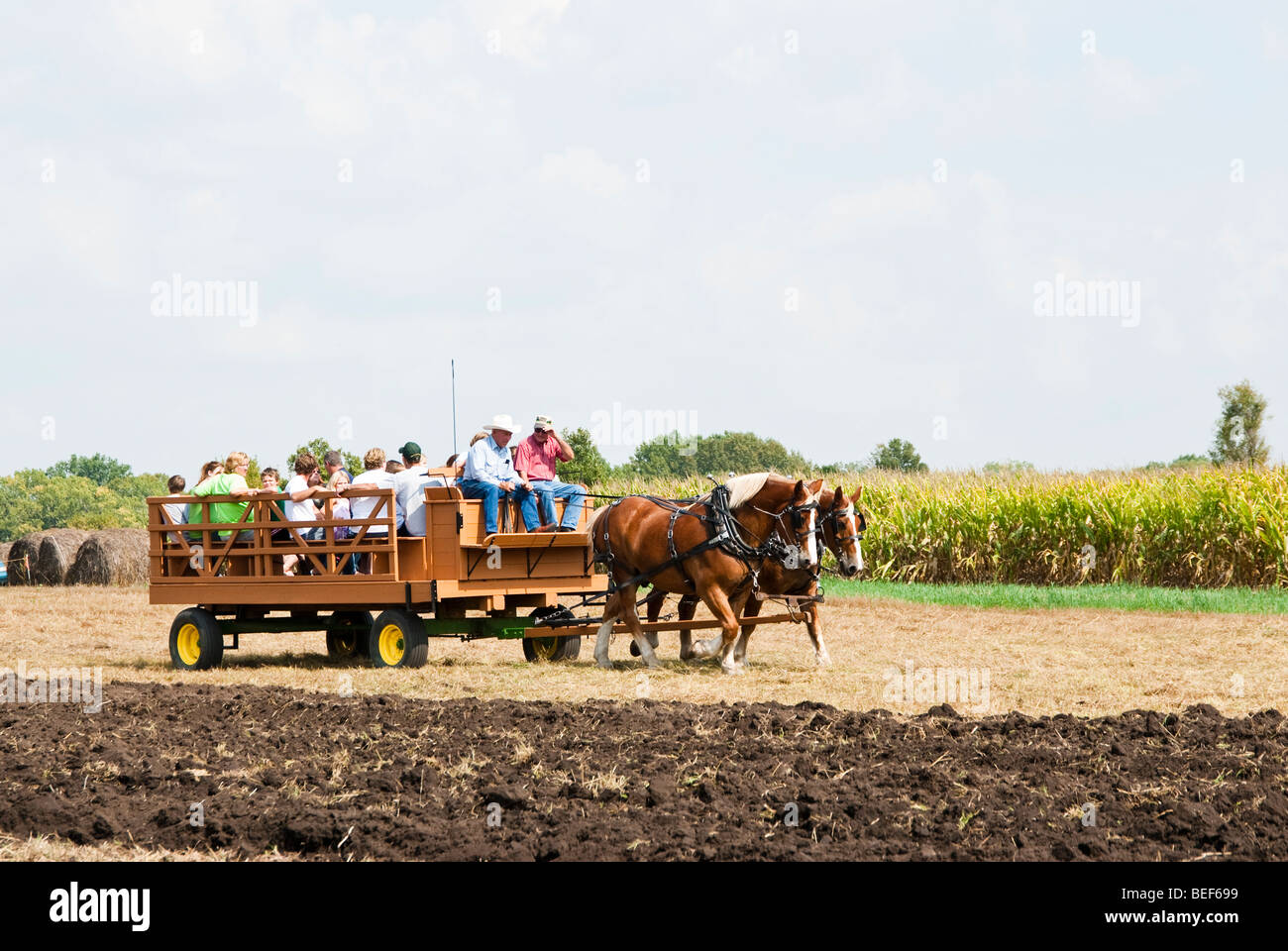 horsedrawn farming demonstrations during the Homesteader Day Harvest