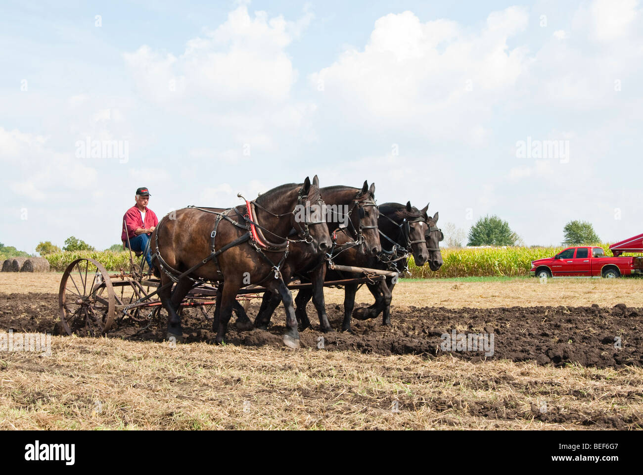 Horse drawn plow hi-res stock photography and images - Alamy