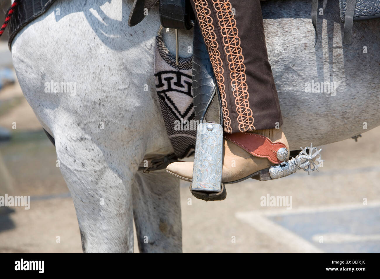 Detail of Horse Tack Stock Photo - Alamy