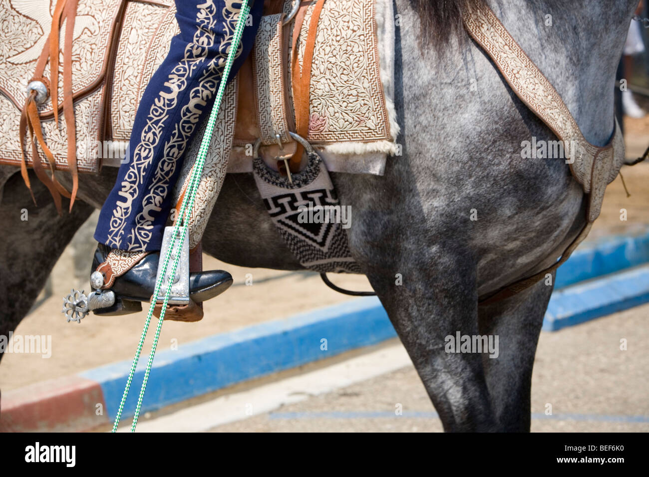 Detail of Horse Tack Stock Photo Alamy