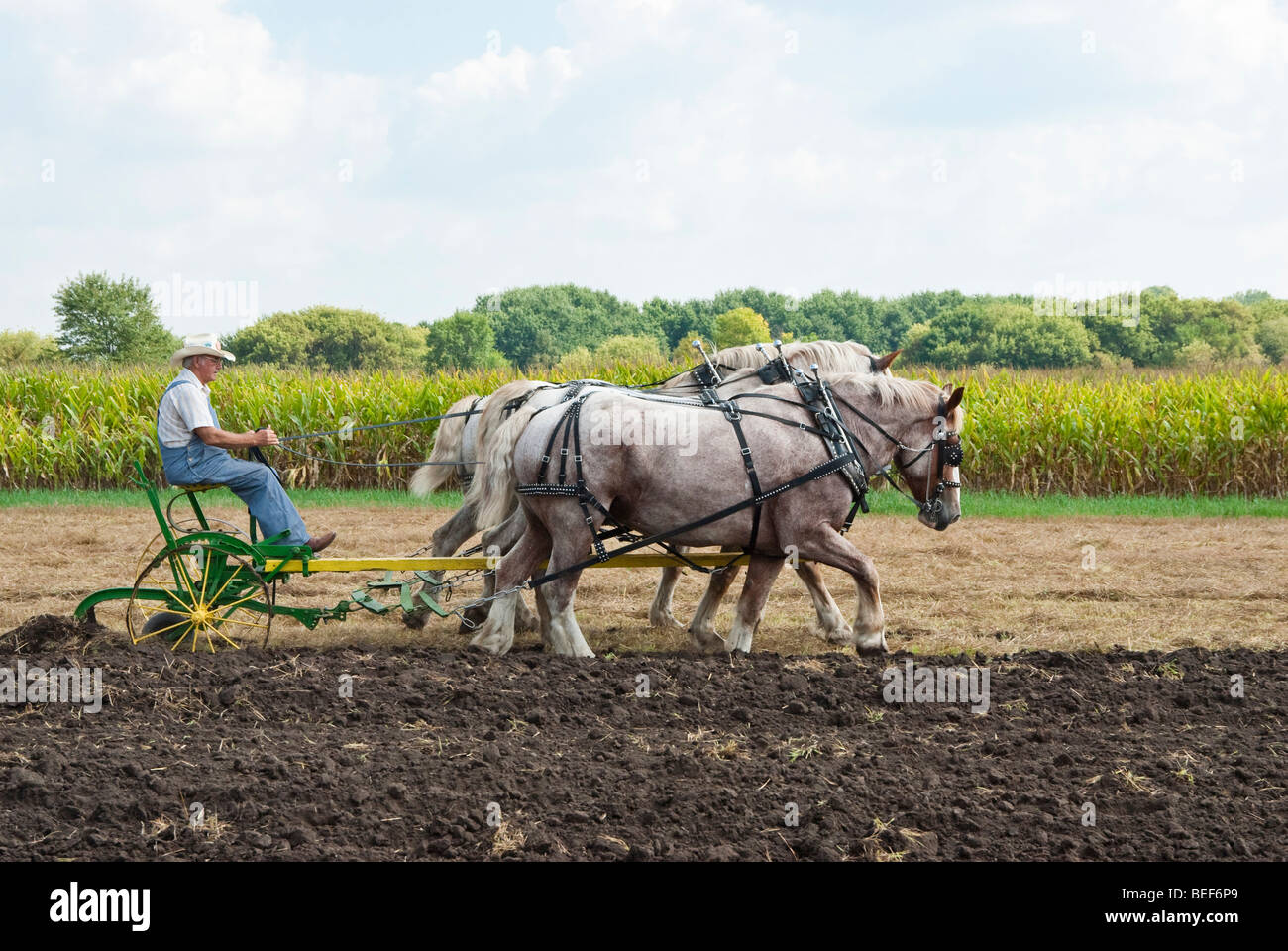 Horse drawn plow hi-res stock photography and images - Alamy