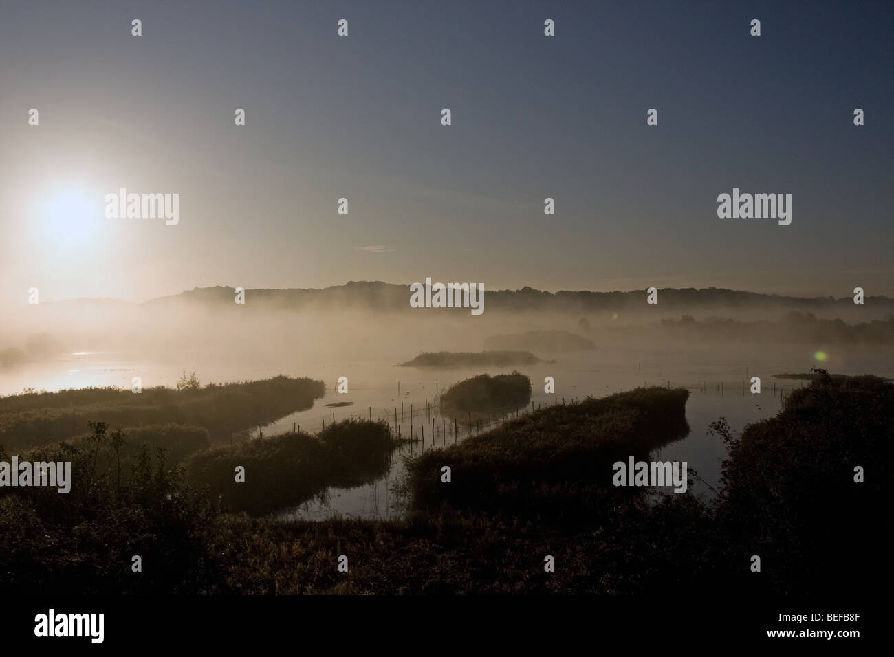 Sunrise sun misty atmospheric hi-res stock photography and images - Alamy