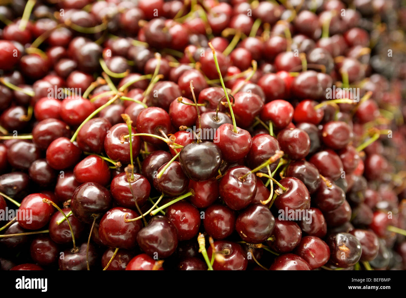 Cherries at a Funchal street grocer's stand in Madeira. Stock Photo