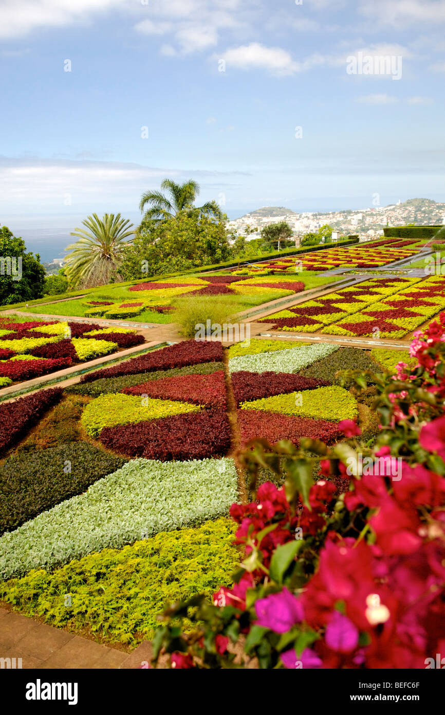 Botanical gardens in Funchal, Madeira Stock Photo Alamy