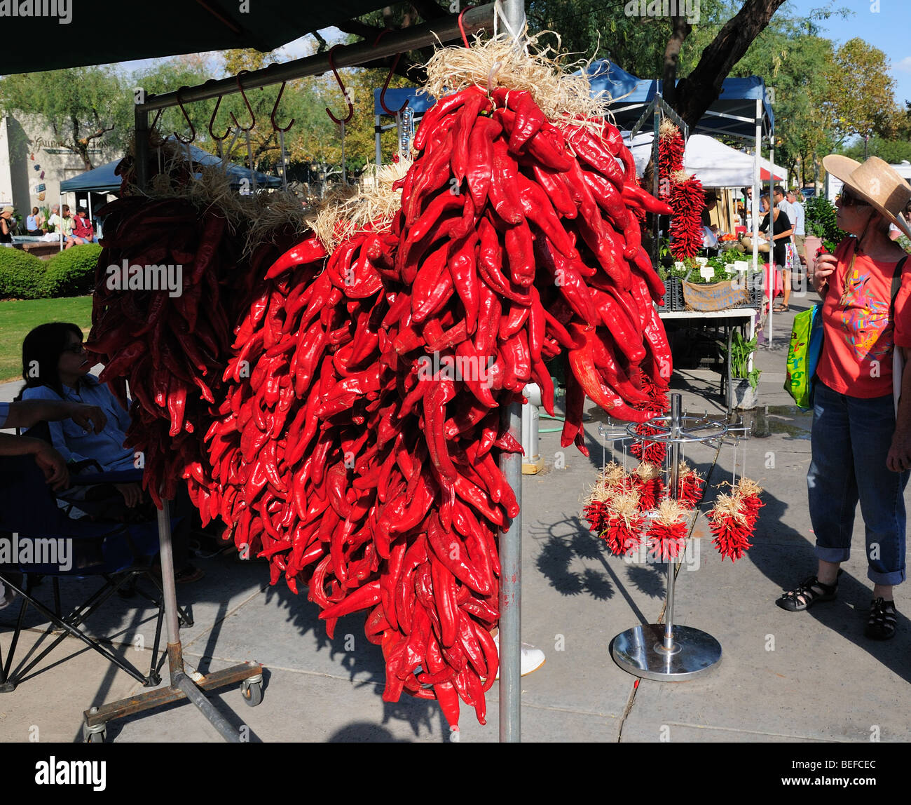 Ristras of chili peppers, grown in Hatch, New Mexico, are for sale at a